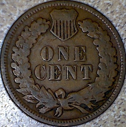 Indian-Head-Pennies-I-Acquired-Today