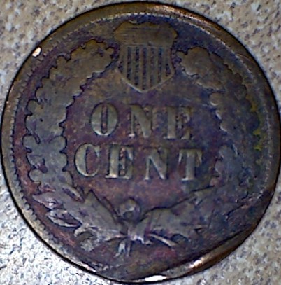 Indian-Head-Pennies-I-Acquired-Today