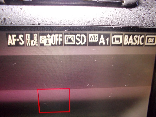 Nikon-Problems-Ray-Can-You-Help