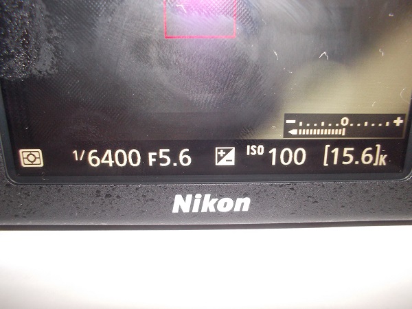 Nikon-Problems-Ray-Can-You-Help
