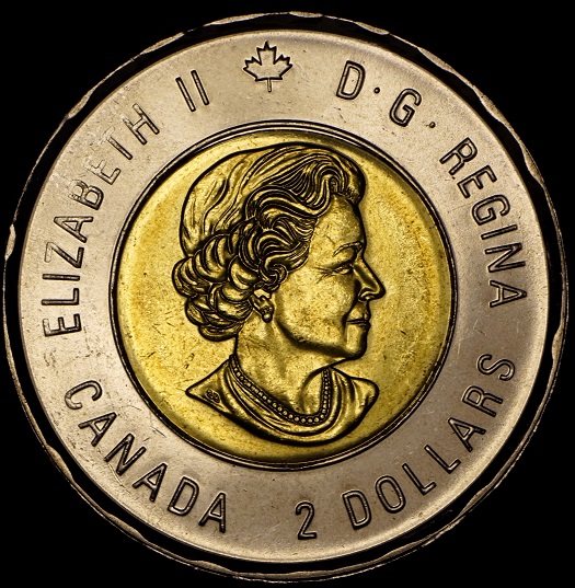 2015-Remember-Souvenir-Toonie-Light-Struck