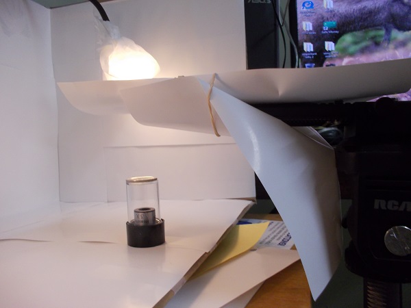 Nikon-D7100-And-Canon-T1i-Aps-C-Sensor