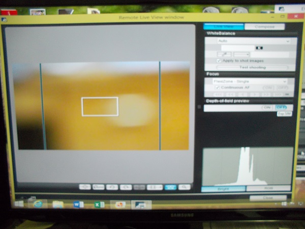 How-Do-I-Utilize-Canon-Cameras-Through-The-Computer?