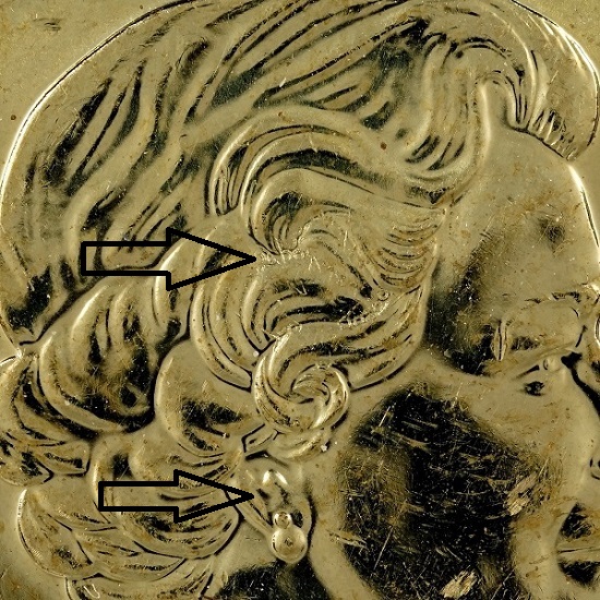 2013-Loonie-Error