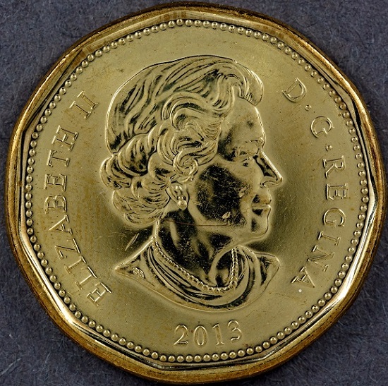 2013-Loonie-Error