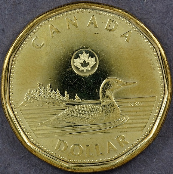 2013-Loonie-Error