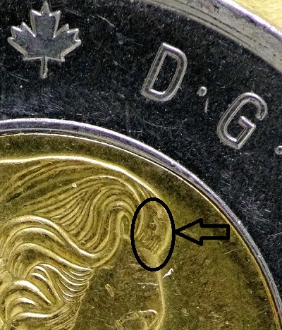 2015-Rememberance-Toonie-Dove-In-The-Queens-Hair