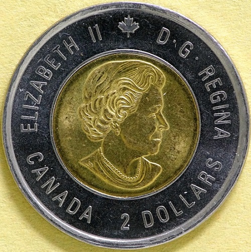 2015-Rememberance-Toonie-Dove-In-The-Queens-Hair