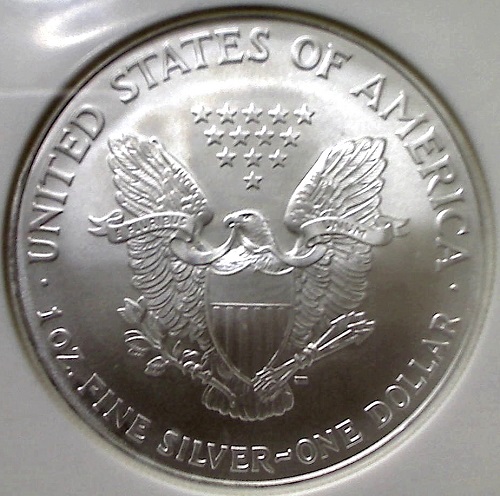 Silver-Eagle-Taken-With-A-Handheld-Mini-Camera