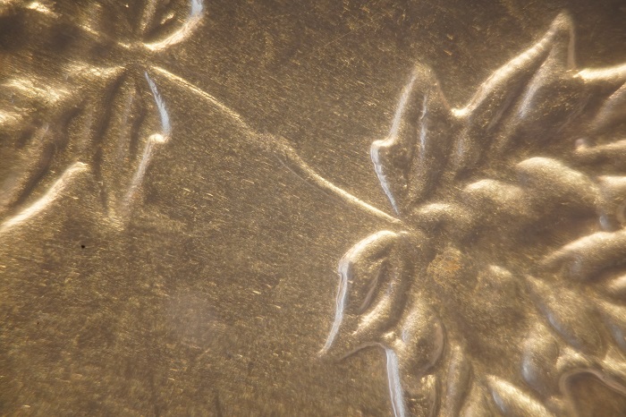 2018-October-RCM-Releases-Include-Gimmick-Coins