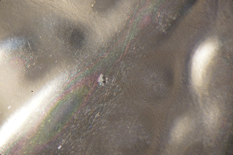 Special-Edition-Silver-Maple