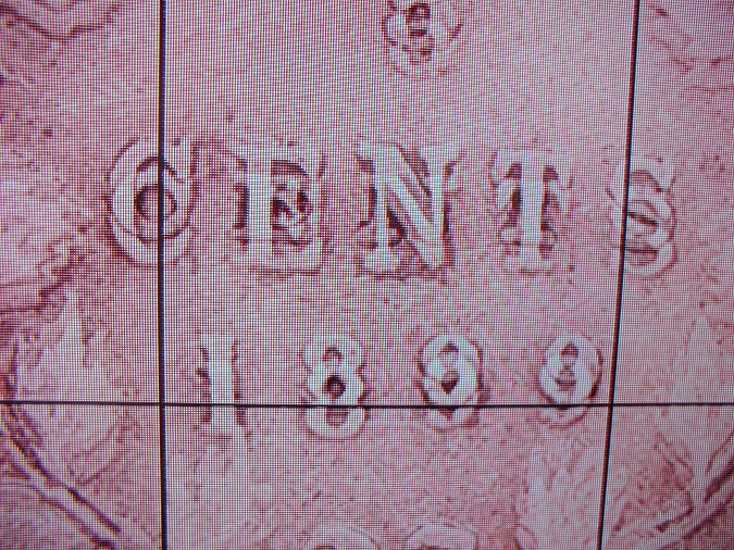 Different-1899-Five-Cents