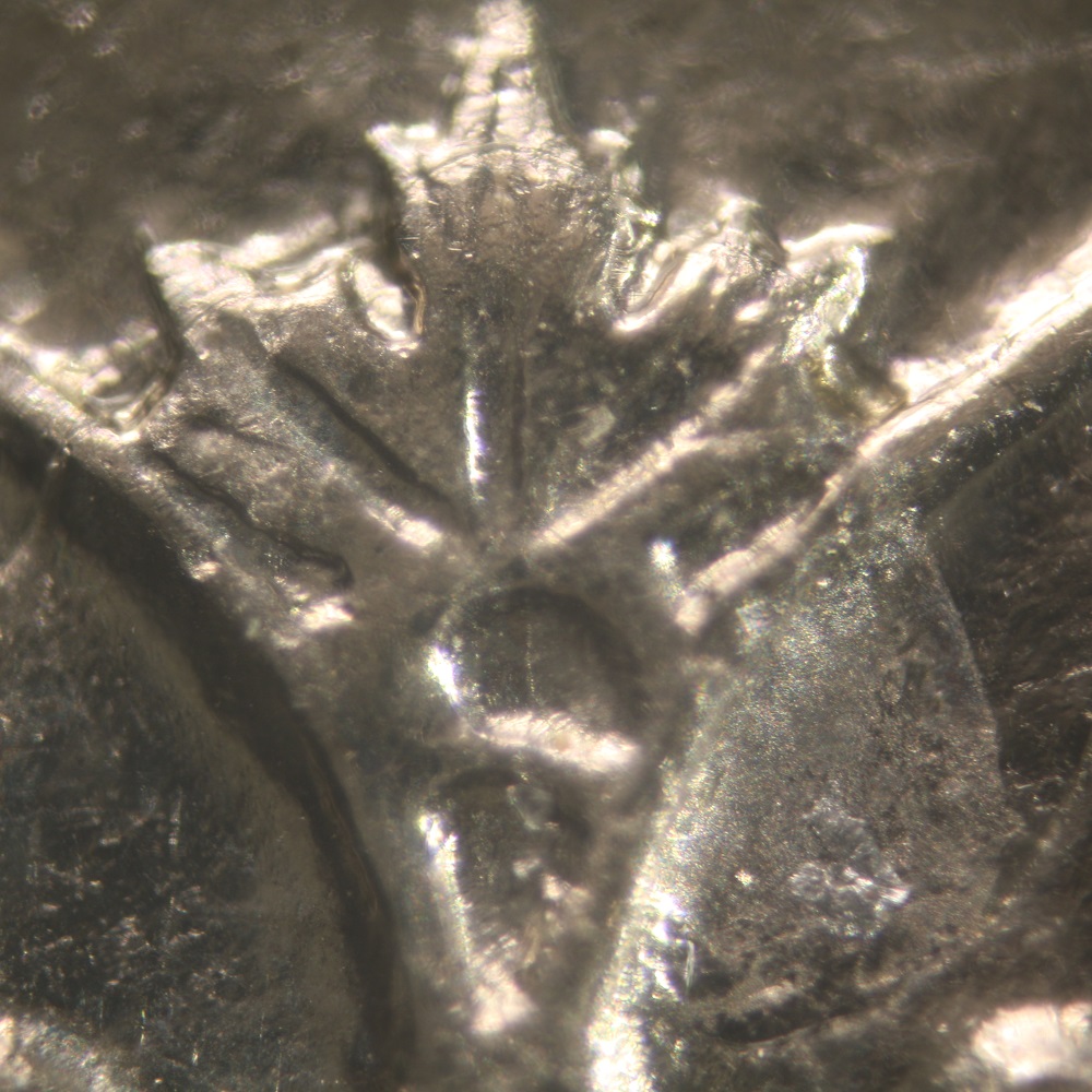 1978-Canada-One-Dollar-Limb-On-Island