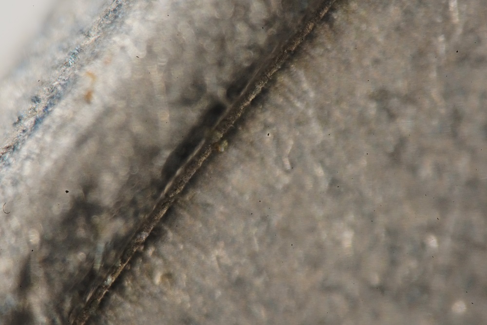 2002-Jefferson-Nickel