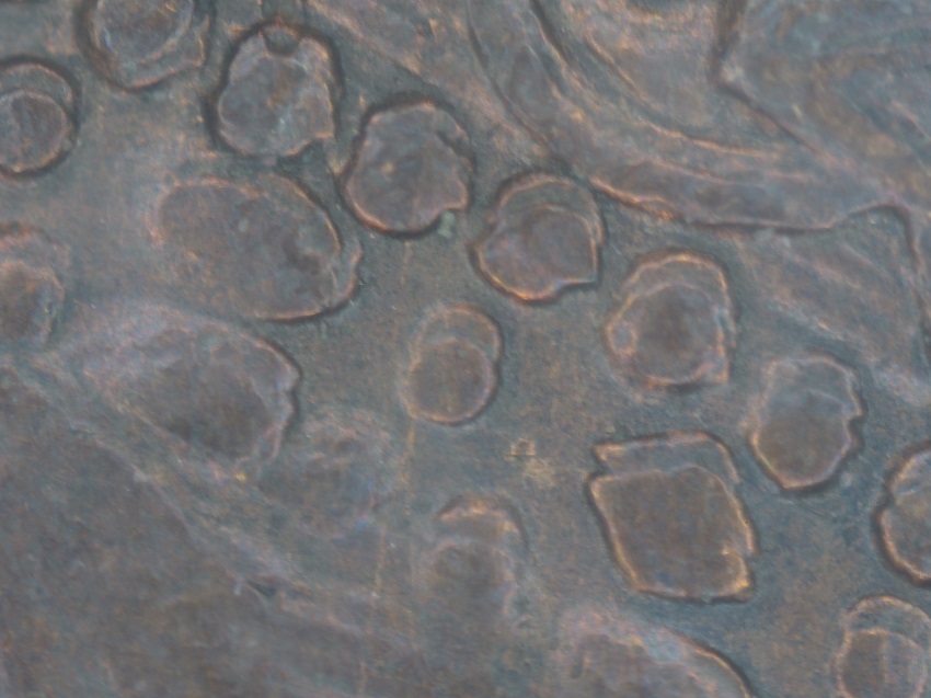 1884-Victoria-Canada-Penny