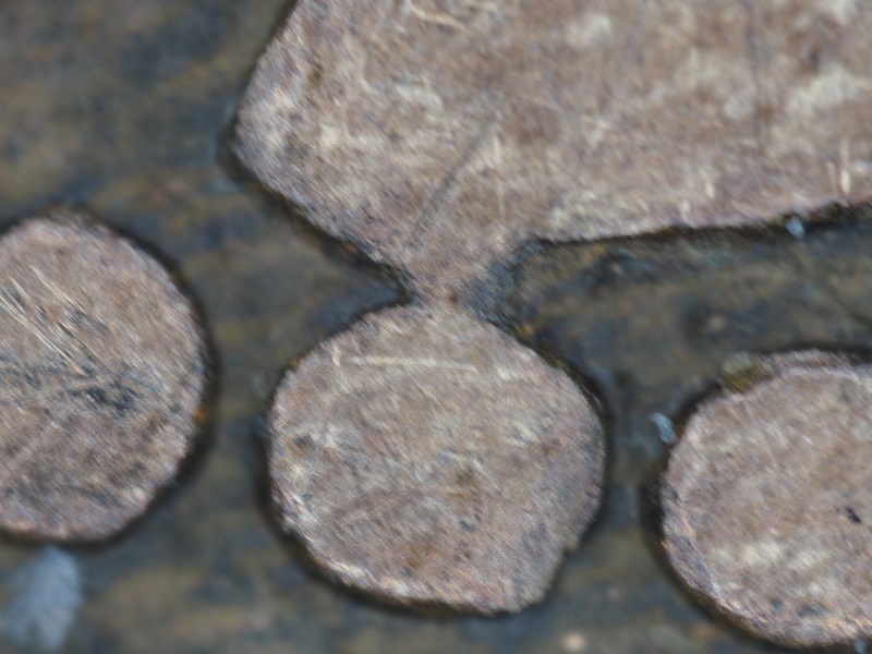 1882-H-Victoria-Canada-Penny