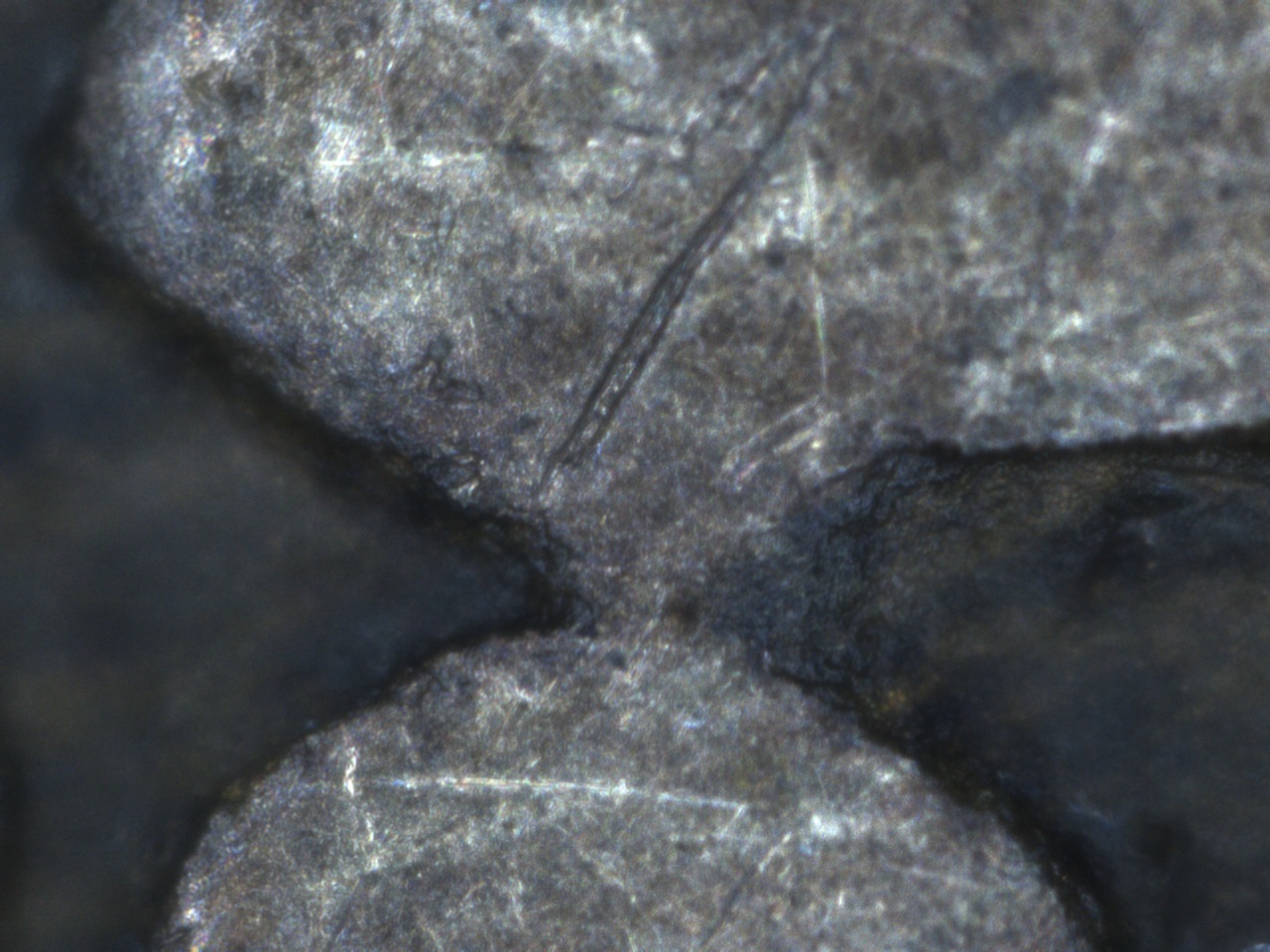 1882-H-Victoria-Canada-Penny