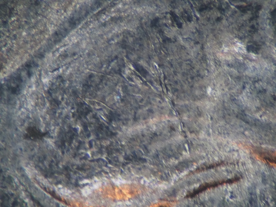 1965-Canada-5-Cent-Coin