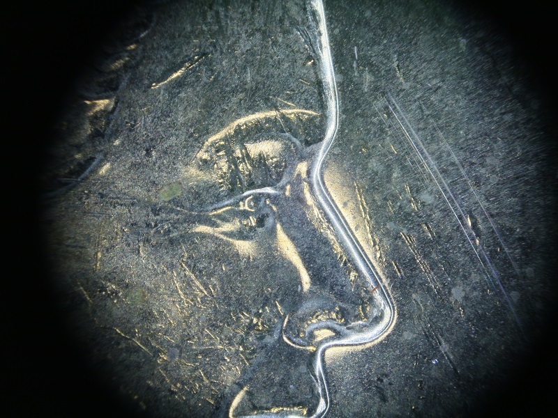 2021-Toonie-Die-Issues