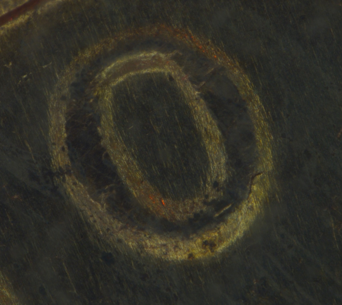 1970-D-Penny-Double-Die-Reverse?