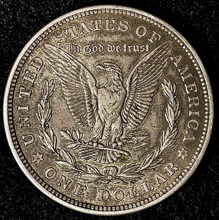 Common-1921-Morgan-Dollar