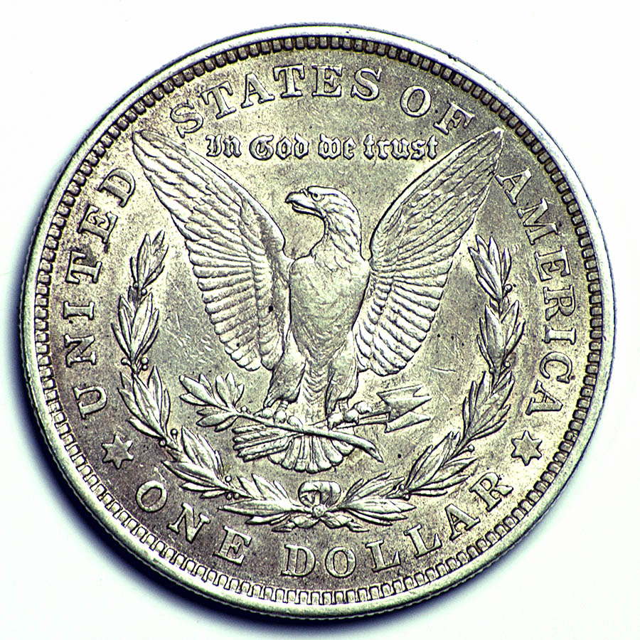 Common-1921-Morgan-Dollar