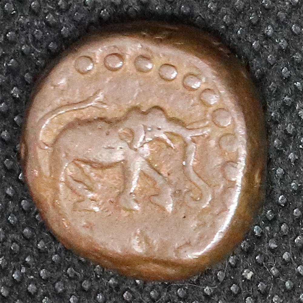 Tipu-Sultan-Paisa