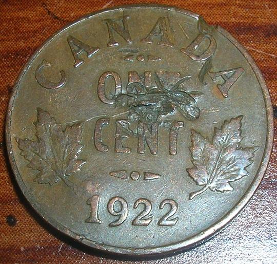 Can-This-Be-Graded?
