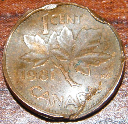 Coin-Roll-Finds---Post-Yours-Here!