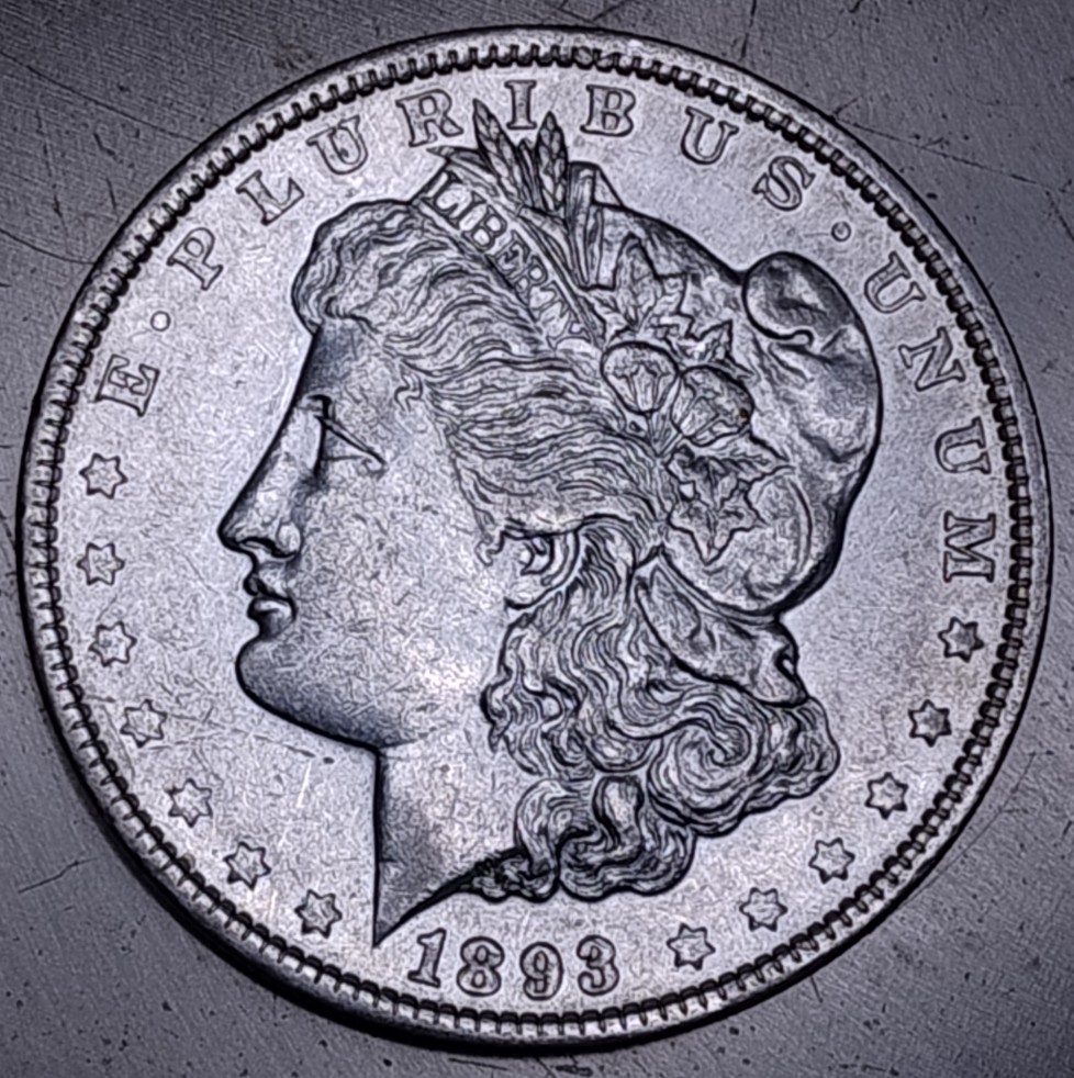 1893-P-Morgan-Dollar-Thoughts-Please
