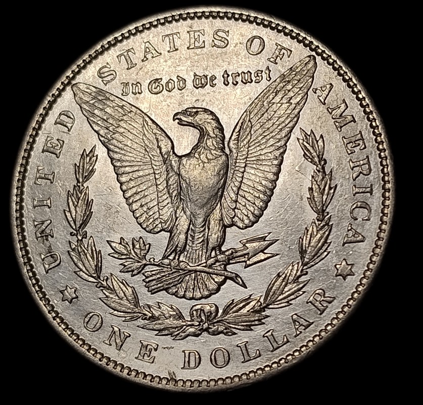 1893-P-Morgan-Dollar-Thoughts-Please
