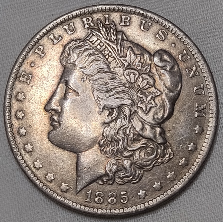 1885-O-Morgan-Dollar-Die-Crack?-Grading-Thoughts-Please