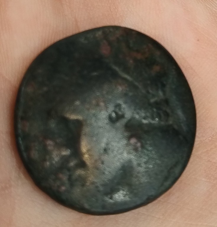 Greek-Coin-Attribution-Help-Please-.syracuse-Hieron-II-274-216-BC-?