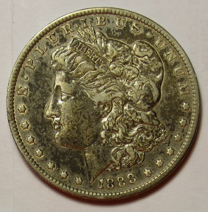 Black-Morgan,-Toned-Or-Damaged