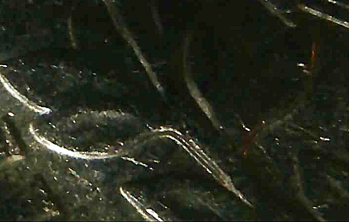 1994-Quarter-Doubling-On-Branch?