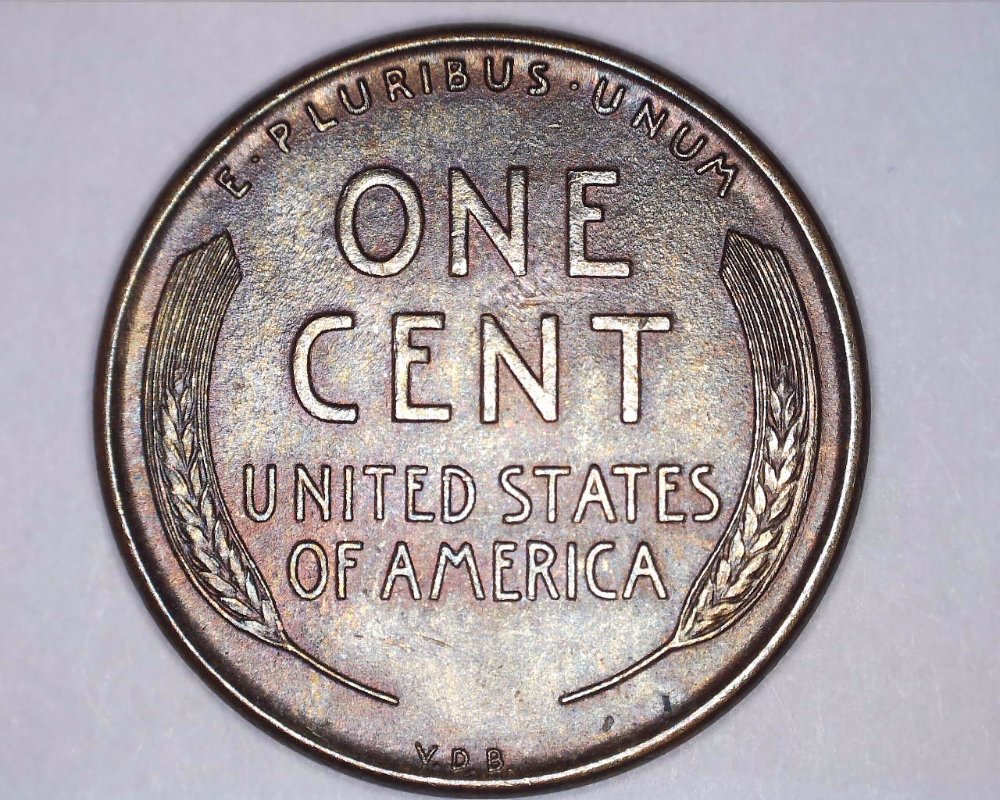1909-VDB-Cent-Grading-Opinion