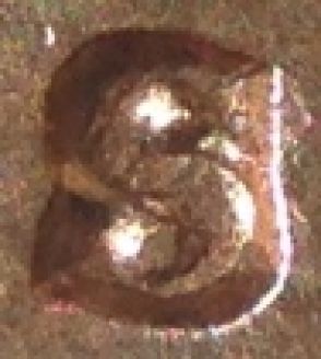 Is-This-1974-S-1MM-001?