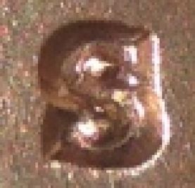Is-This-1974-S-1MM-001?