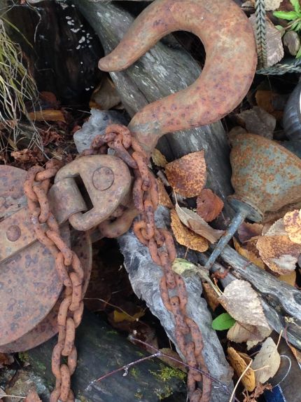 Our-Finds-From-Over-The-Years