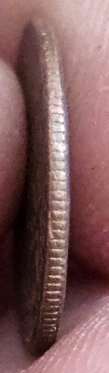 1981-Dime-Missing-Clad--?