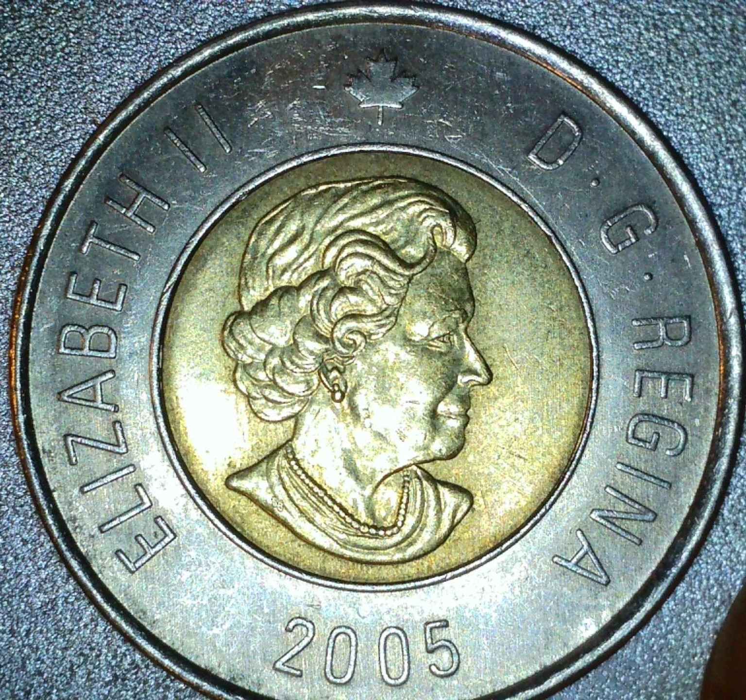 2005-Toonie,-Unknown-Error-On-Front-Legs-Of-Polar-Bear