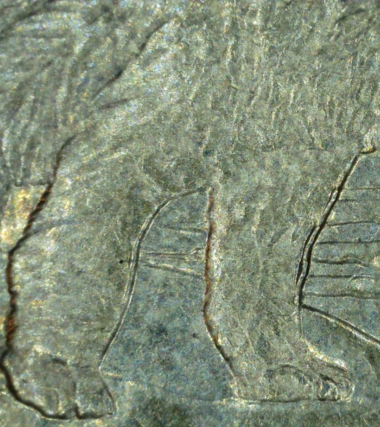 2005-Toonie,-Unknown-Error-On-Front-Legs-Of-Polar-Bear