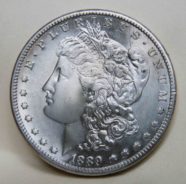 What-Would-You-Grade-This-1889-CC-Morgan-Dollar