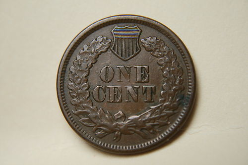 1877-Indian-Penny----Your-Grade-?