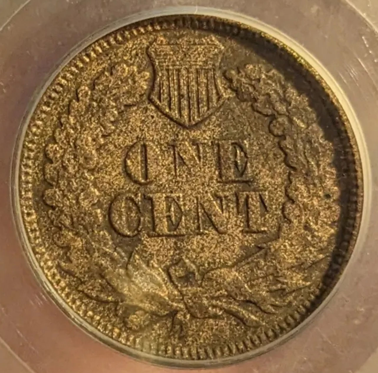 1877-Indian-Head-Segs-Graded---Help!