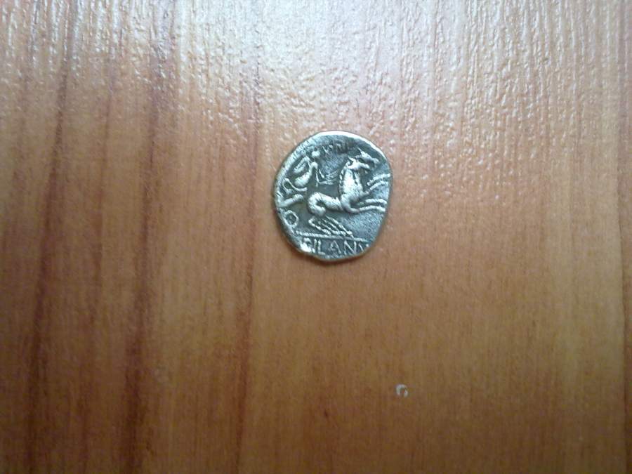 Coin-ID-Help?