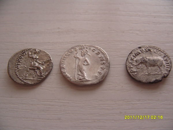 Newest-Coins
