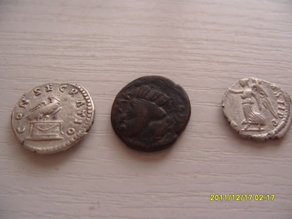 Newest-Coins