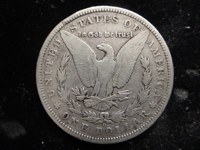 1893-Morgan---How-Did-I-Do?