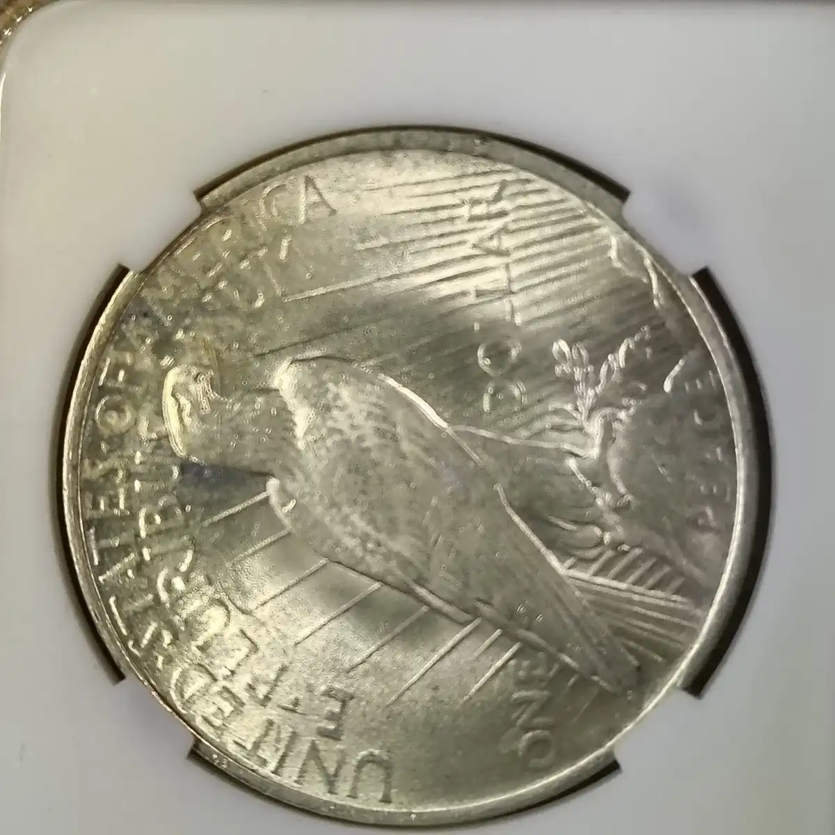Continuing-List-To-Show-Everyones-Latest-Acquisitions